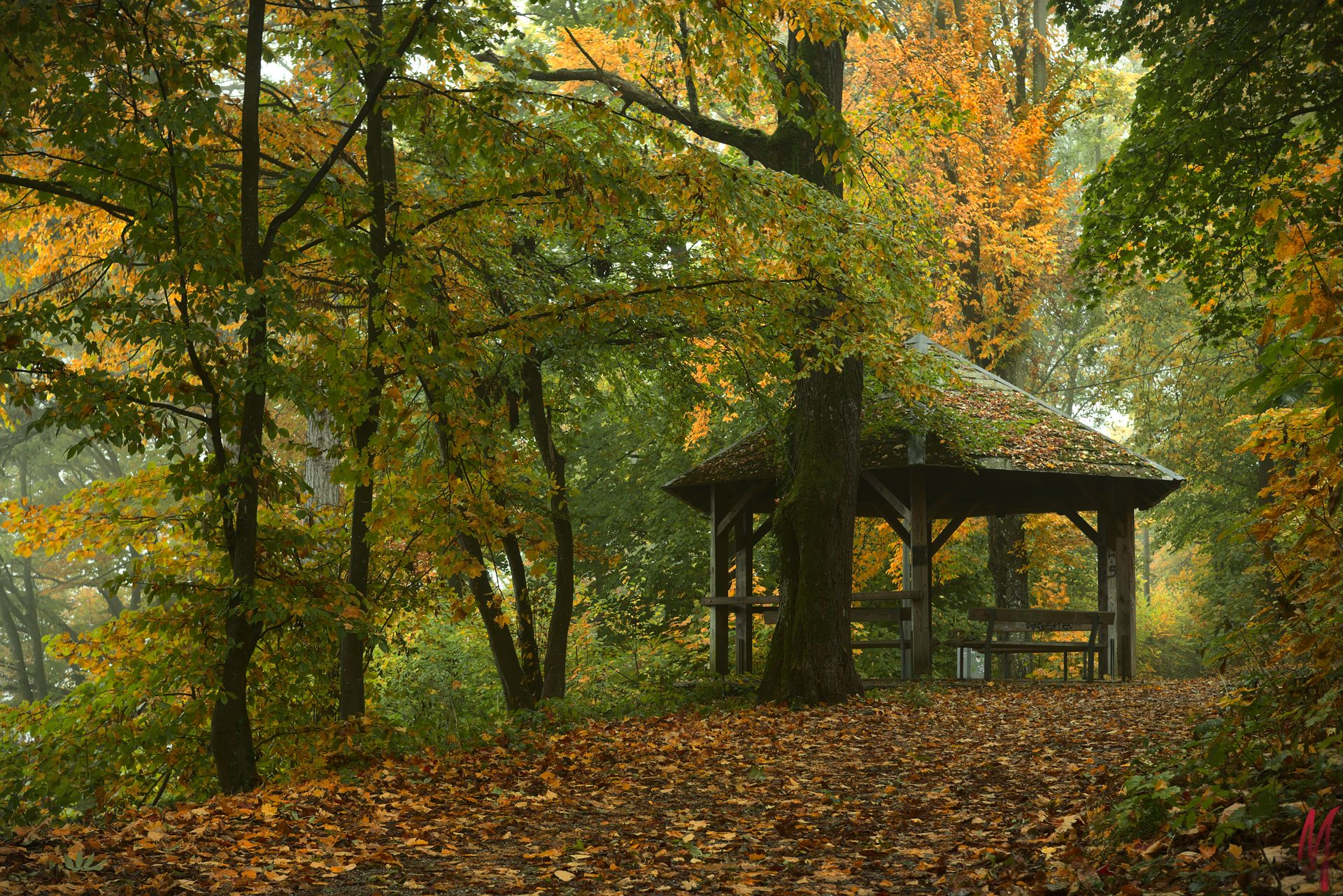 Pavillion im Wald